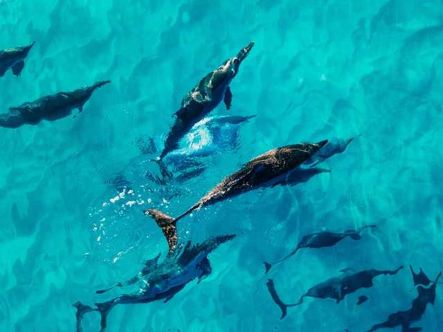 Island Escape - Image 1